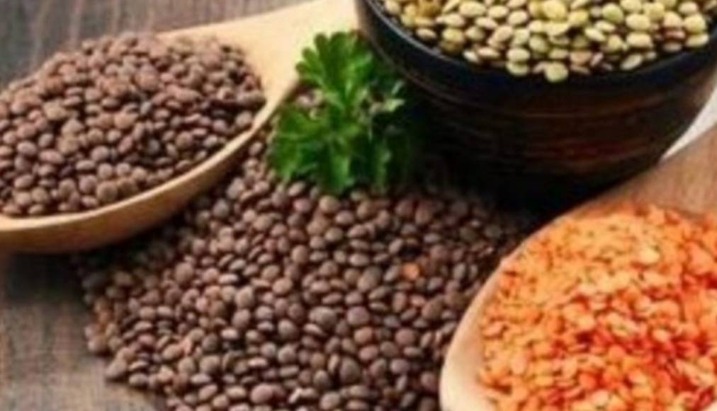 أسعار البقوليات في مصر اليوم الأربعاء