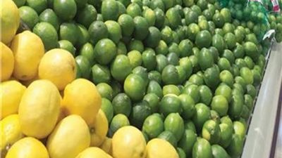 5 أسباب وراء ارتفاع أسعار الليمون بالاسواق .. تعرف عليها
