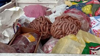 صور صادمة.. ضبط 21 طن لحوم وأسماك ودواجن فاسدة بالجيزة