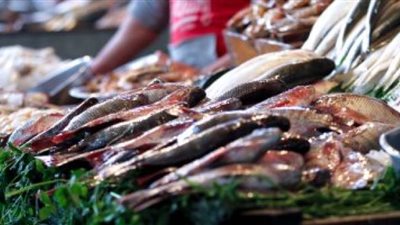 ثبات أسعار ” السمك والجمبرى ” اليوم