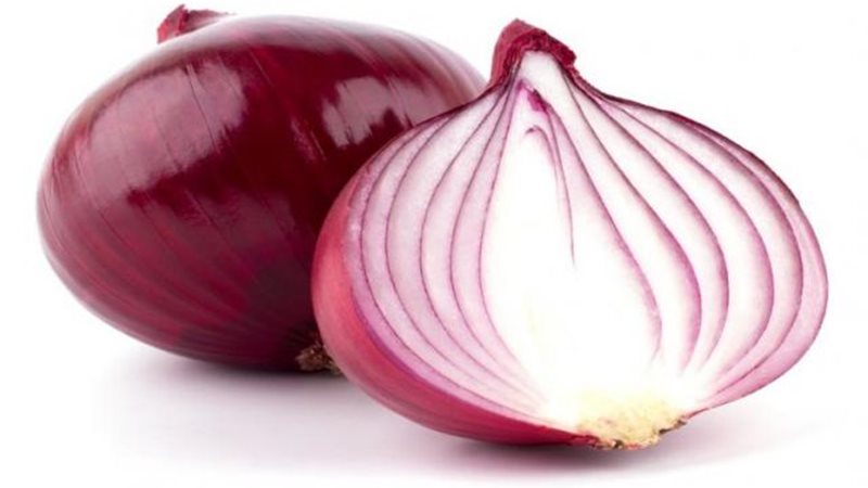 البصل