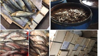 بالصور .. الداخلية  تواصل ضبط الأسواق ومكافحة الجرائم التموينية المتنوعة