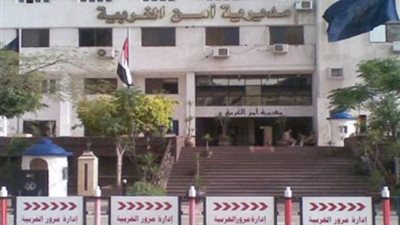 أجهزة الأمن تضبط طرفى مشاجرة بين بعض المواطنين بقرية الدلجمون بالغربية