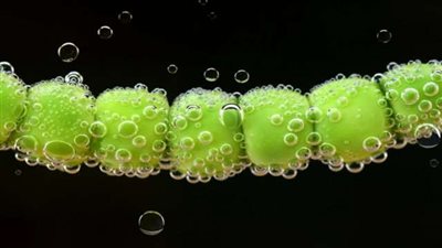 أبرزهم العدس.. مصادر البروتين بعيدًا عن اللحوم