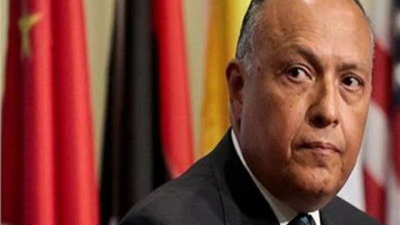 سامح شكري