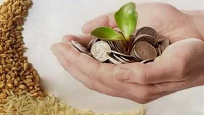 لا تسقط و تأخيرها إثم كبير.. معلومات لا تعرفها عن زكاة الفطر