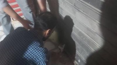 شاهد.. الجيزة تنتفض ضد مخالفات مواعيد غلق المحال التجارية والكافيهات