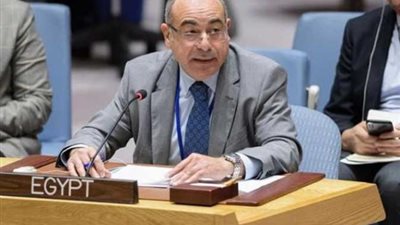 مندوبا مصر وليبيا بالأمم المتحدة يبحثان تطورات الأوضاع الليبية