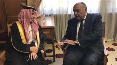 عاجل.. بيان خطير من مصر و السعودية بشأن إسرائيل