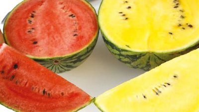 عاجل.. نقيب الفلاحين يكشف سبب انتشار ”البطيخ القاتل ”