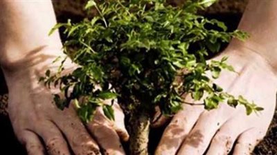 العمل الصالح له شروط.. تعرف عليها