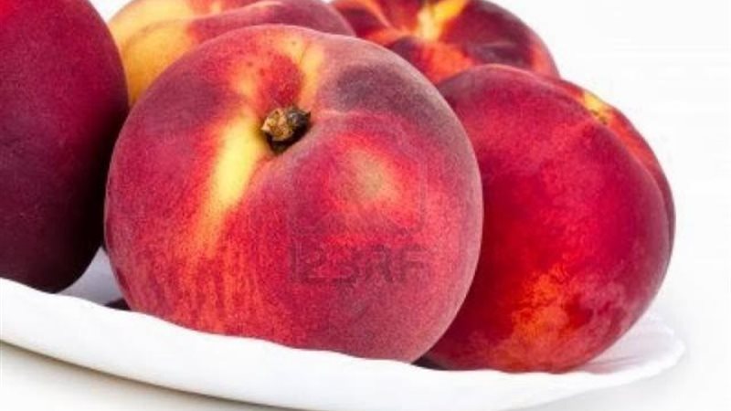 الخوخ