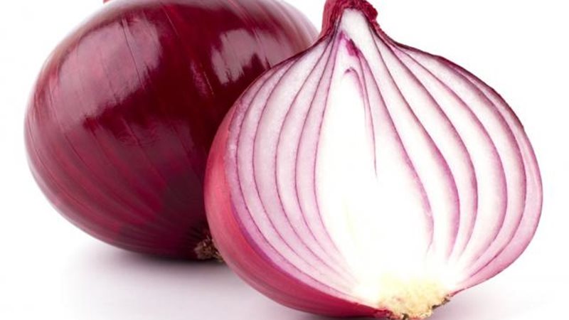 البصل