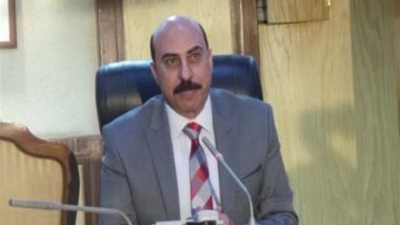 محافظ أسوان: توفير