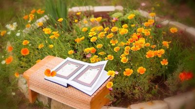 يجمع المحبين.. أسرار لا تعرفها عن قرآن صلاة الفجر