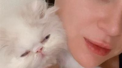 البرنسيسة.. قطة مى عز الدين تعيدها لجمهور ”السوشيال ميديا”