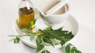 لن تصدقى ما هى فوائد «زيت النيم» على الجسم