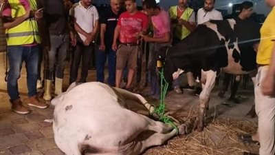 السيسى يرسل هدية لطفل المحلة المختطف احتفالا بعودته