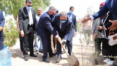 شاهد.. ما هو سر الأشجار التي يزرعها وزير القوى العاملة بالمحافظات؟