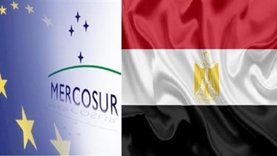 نيفين جامع : فرص كبيرة للصادرات المصرية للنفاذ لاسواق دول التجمع