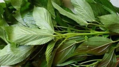 حكايات مثيرة عن قاهر النساء الذى حرم الملوخية وادعى الإلوهية