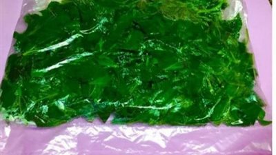 تعرفي على الطريقة الصحيحة لتخزين الملوخية بالسكر