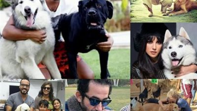 ”حب من نوع خاص”.. تعرف علي نجوم الفن الذي يعشقون تربية الكلاب أبرزهم حلمي وفهمي