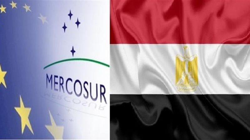الموجز