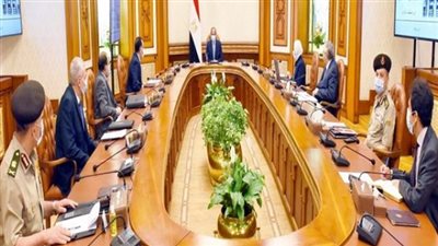 السيسي يكلف باستكمال مشروع الاكتفاء الذاتى من مشتقات البلازما