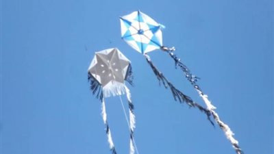 سقوط ضحية جديدة للطائرات الورقية تحت عجلات القطار