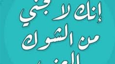 ”إنك لا تجني من الشوك العنب”..اعرف قصة المثل