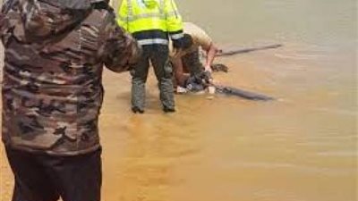 كشفتها الأسنان .. هذه تفاصيل العثور علي جثة بطلة مسلسل شهير ببحيرة