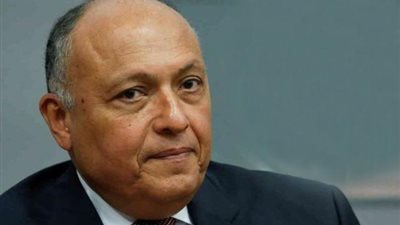 عاجل.. الخارجية المصرية تصدر بيانا بشأن الأوضاع في تركيا