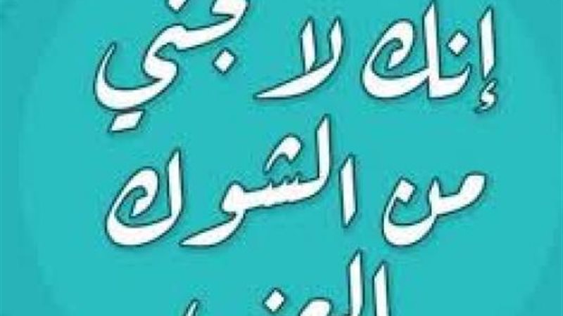 الموجز