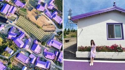 أحدث مناطق الجذب السياحي بكوريا الجنوبية.. ما لا تعرفه عن جزيرة البنفسج