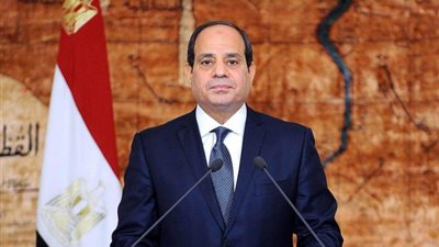 السيسي: لن نسمح بدخول بضائع لمصر إلا وفقا للمعايير الأوروبية