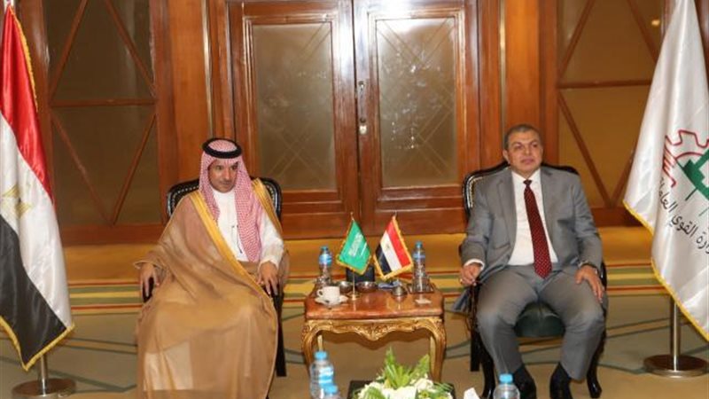 لقاء وزير القوى العاملة
