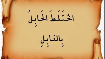 الأغنام وراء مثل ”اختلط الحابل بالنابل”..اعرف القصة