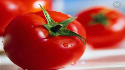 الطماطم عقلت والفاصوليا اتجننت .. تعرف على الأسباب