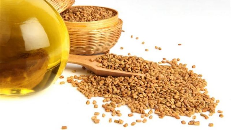 الحلبة