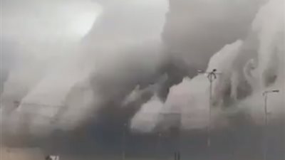 تعرف على حكاية سحابة المخدرات التى قتلت 500 طائراً بالإسكندرية