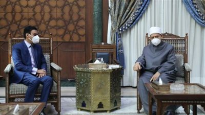 شاهد.. لماذا التقى شيخ الأزهر بسفير مصر بغينيا ؟