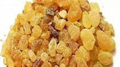 لن تصدق فوائده.. تعرف علي لبان الذكر وماذا يحدث للجسم عند تناوله؟