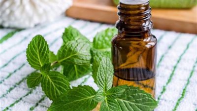النعناع.. الحل السحري للعناية بالبشرة الدهنية