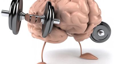 طعام سحري لعلاج النسيان وتقوية الذاكرة.. ما هو؟