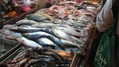 تعرف على أسعار الأسماك فى سوق الجملة بالعبور