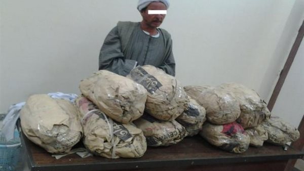 ضبط 35 كيلو بانجو وكمية من أشجار نبات البانجو والبذور | الموجز