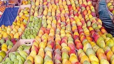 لمحبى المانجو .. تعرف على أسعار الفاكهة اليوم