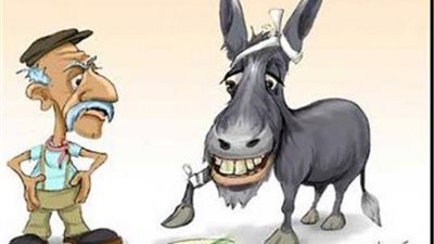 حاكم طالب بتعليم ”الحمير” وراء مثل ”موت يا حمار”..اعرف القصة