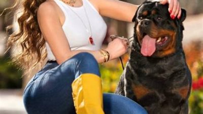 هيفاء وهبى برفقة كلبها فى أحدث ظهور لها